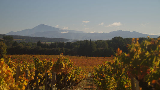Château Simian - Cuvée Camion Rouge « Mon P'tit Camion Rouge »