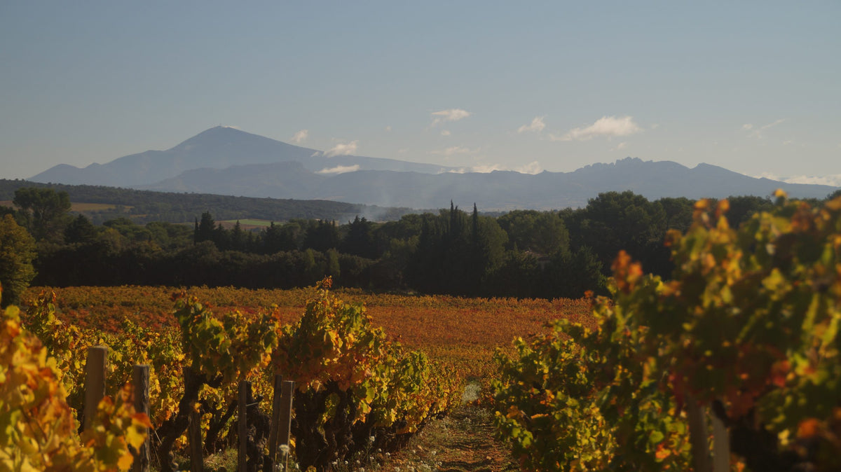 Château Simian - Cuvée Camion Rouge « Mon P'tit Camion Rouge »