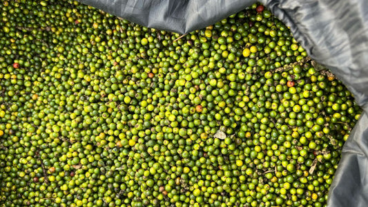 Poivre noir de Baffia (Côte d'Ivoire) 55g - Roellinger